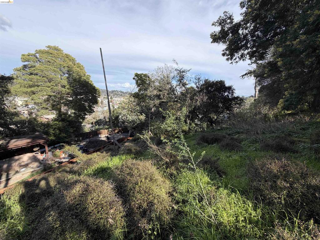 59 , 60 Clayton St. Property Photo 4