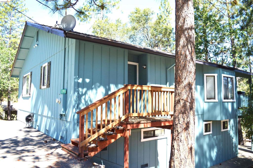 12955 Jackson Mill Drive Property Photo 3