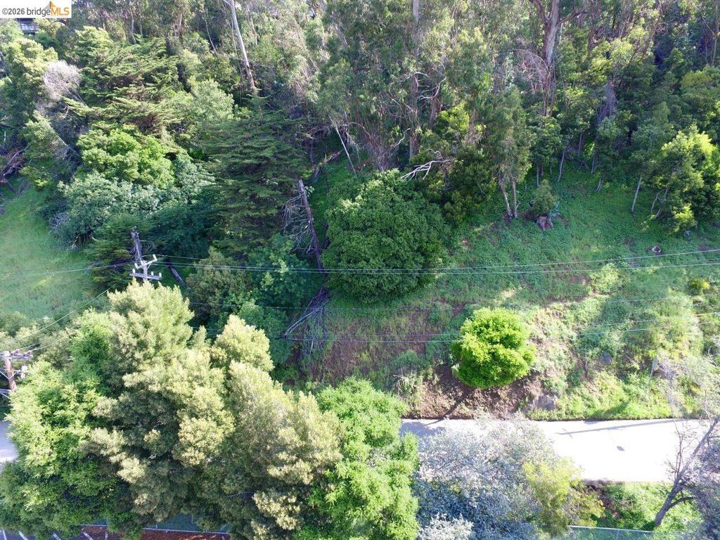 Scout Rd Property Photo 1