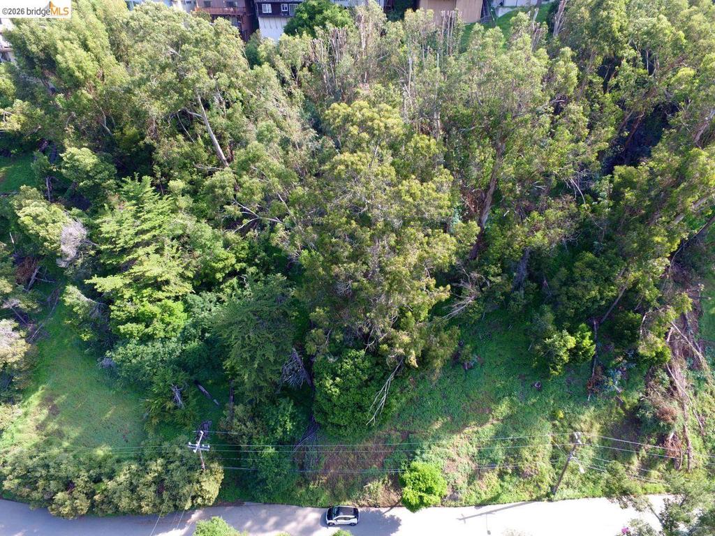 Scout Rd Property Photo 2