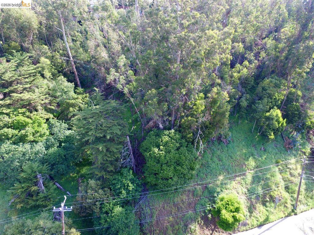 Scout Rd Property Photo 3