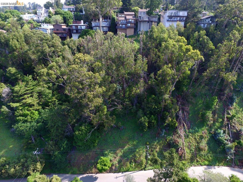 Scout Rd Property Photo 4