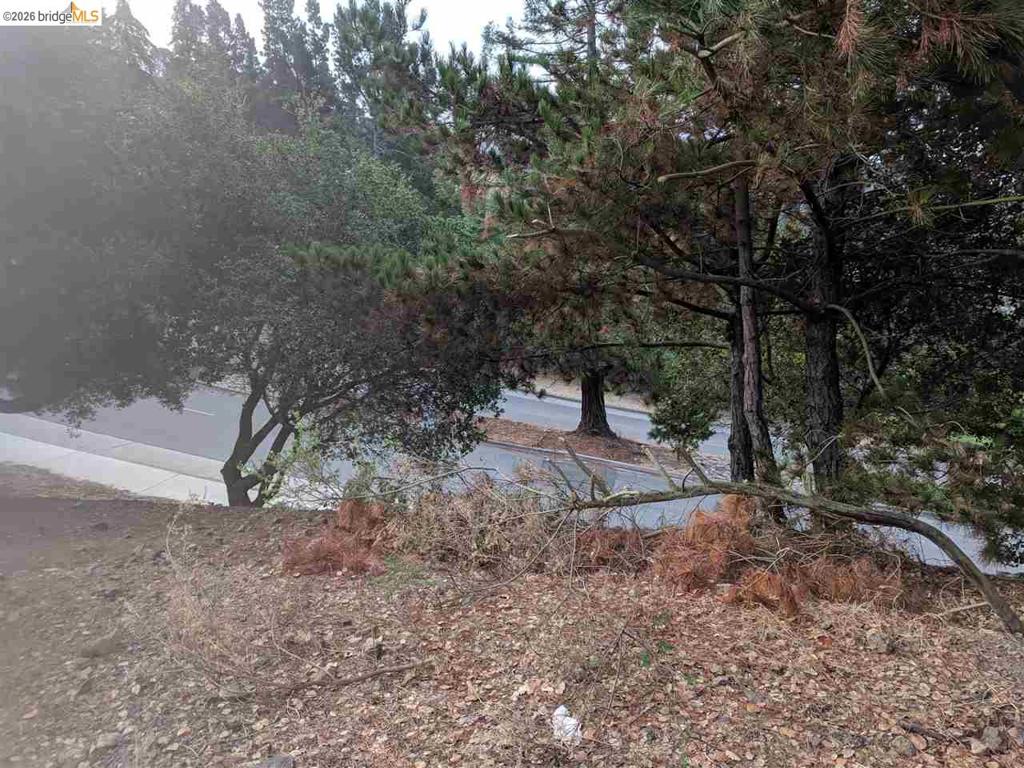0 Redwood Rd Property Photo 4