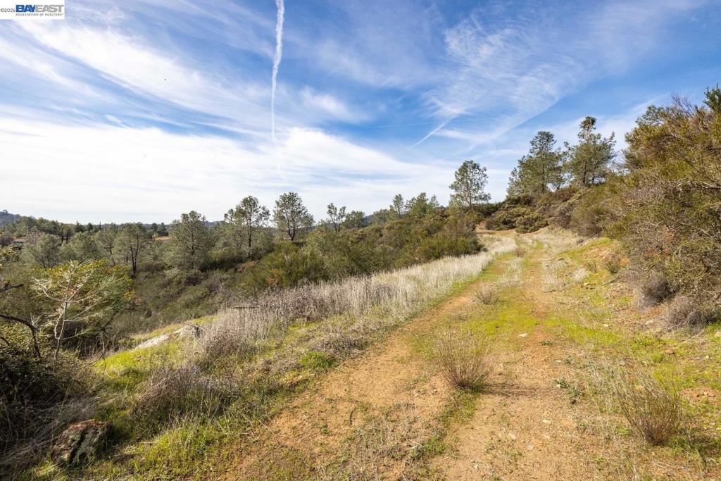 7850 Watermark Place Property Photo 2