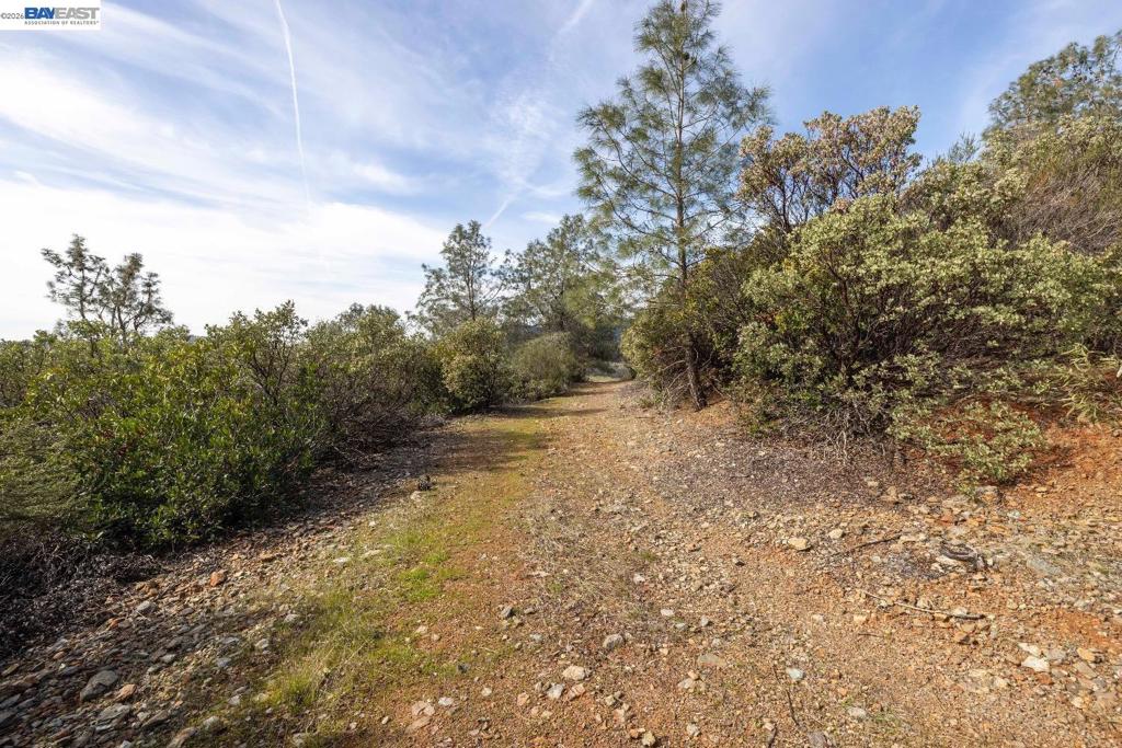 7850 Watermark Place Property Photo 24