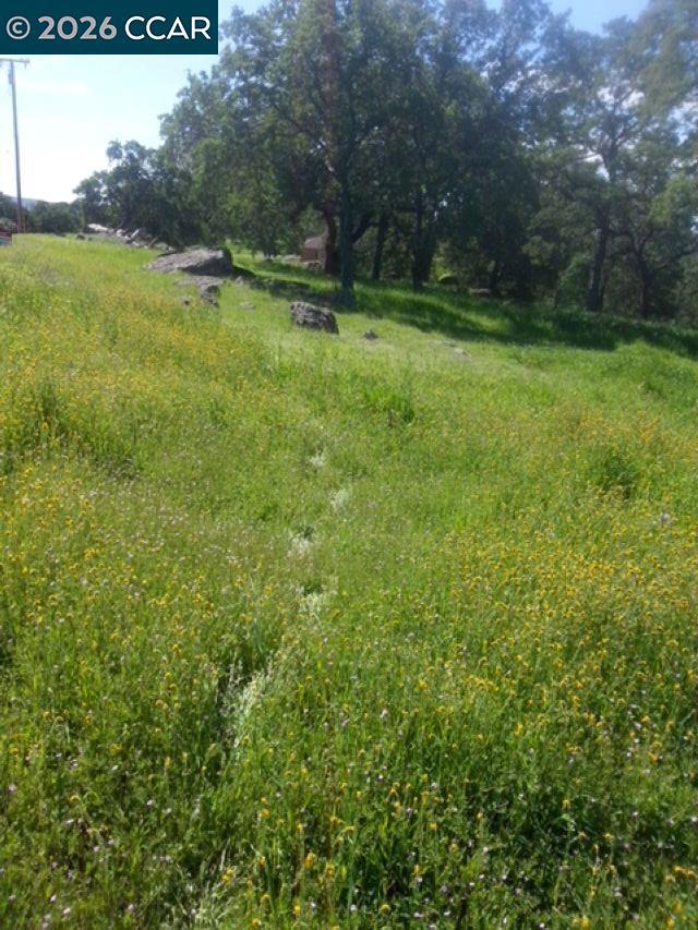 56 Deer Hollow Trail Property Photo 1
