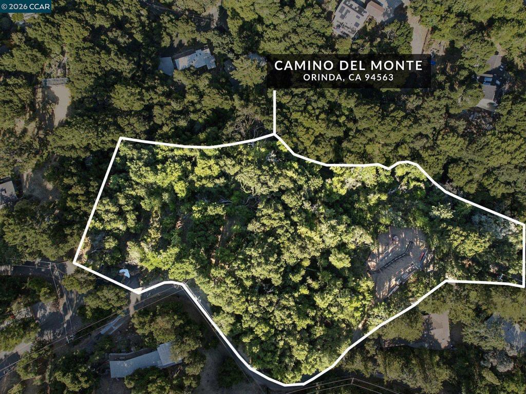 Camino Del Monte