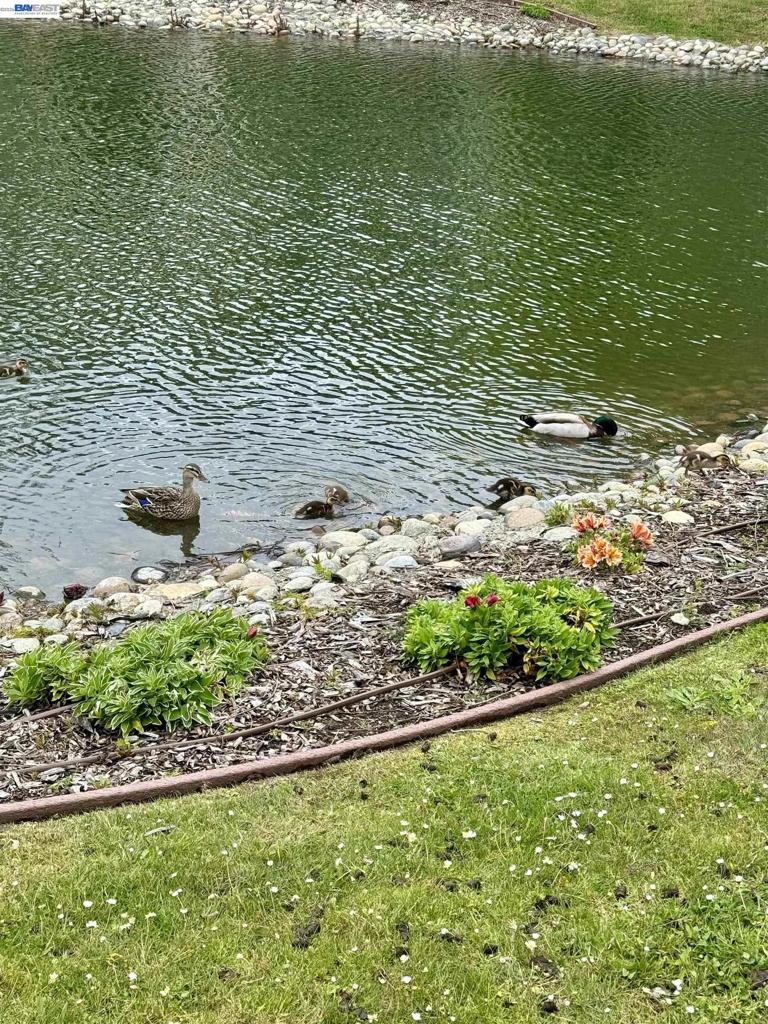130 Lakeshore Ct Property Photo 50
