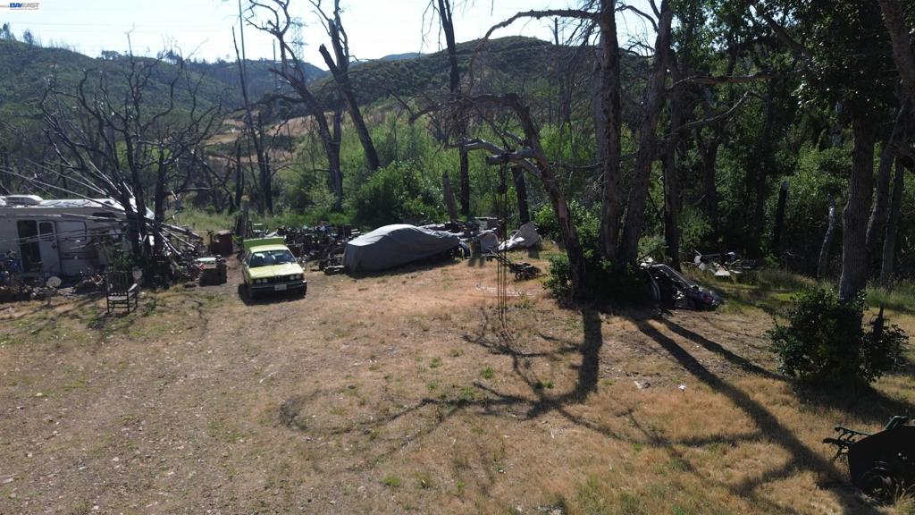 11311 Pine Flat Property Photo 25