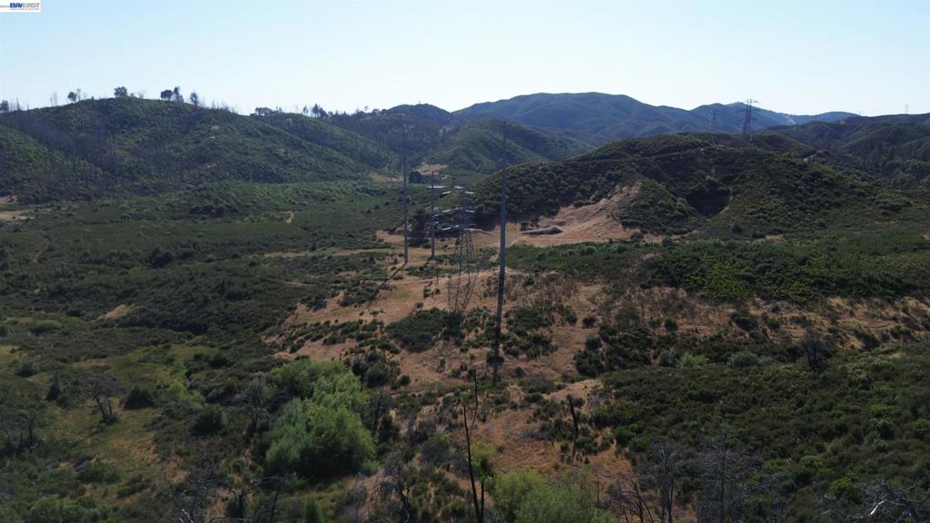 11311 Pine Flat Property Photo 30