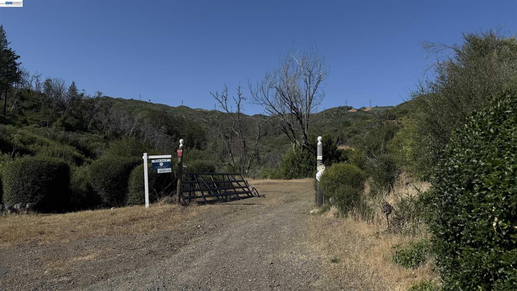11311 Pine Flat Property Photo 42