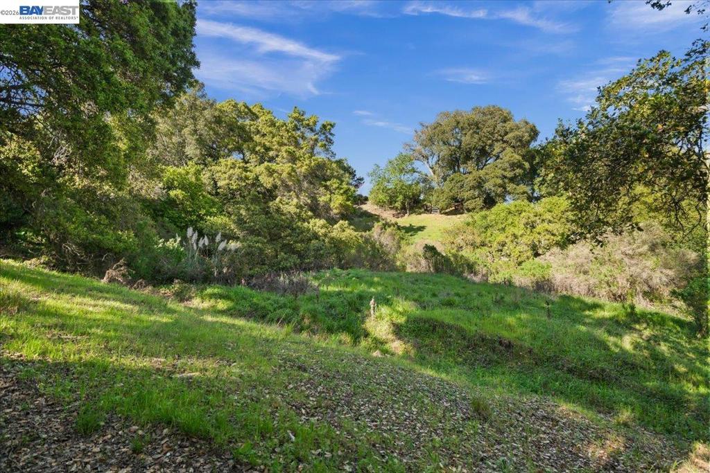 0 Silverwood Dr Property Photo 8