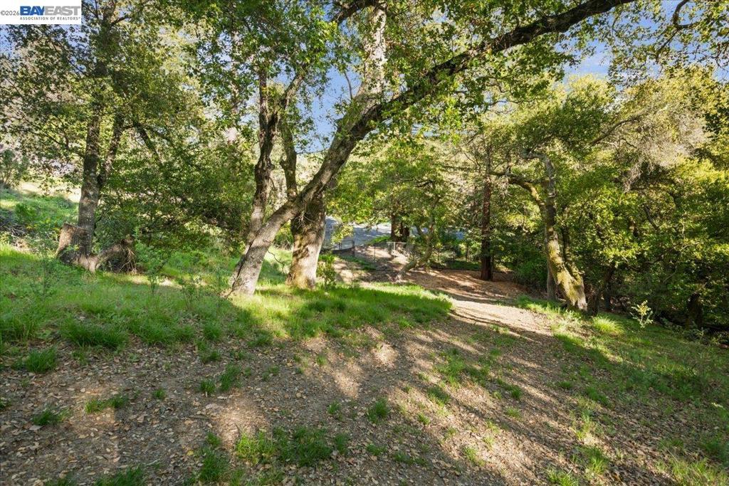 0 Silverwood Dr Property Photo 12
