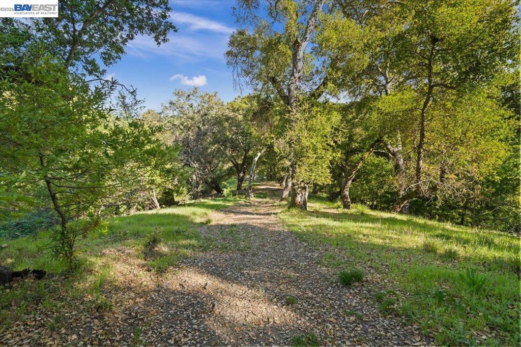 0 Silverwood Dr Property Photo 15