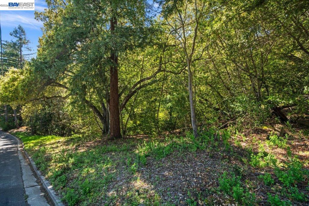 0 Silverwood Dr Property Photo 36