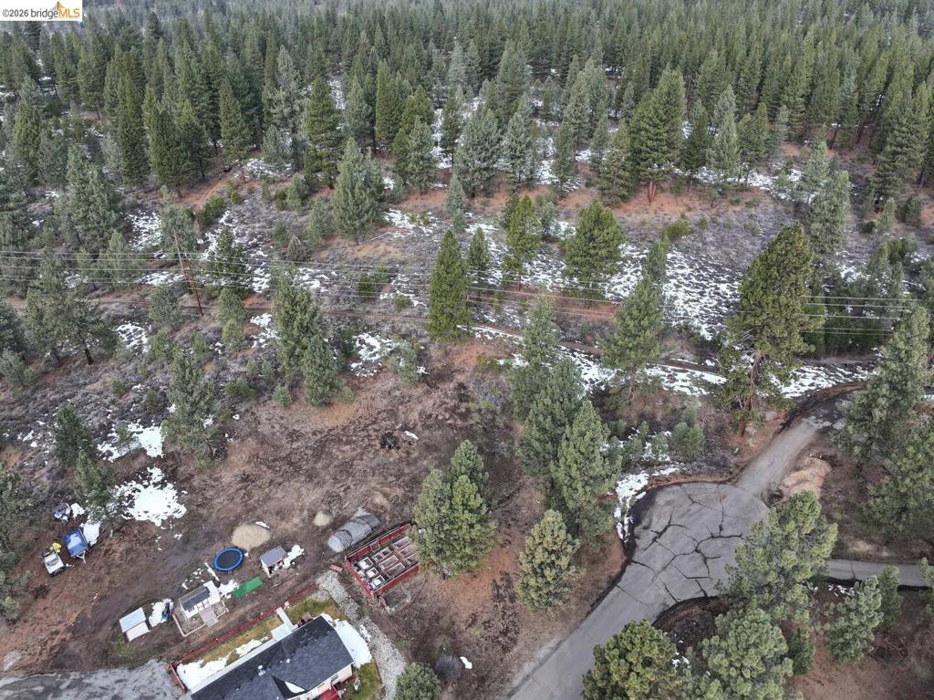 350 Espinal Dr Property Photo 4