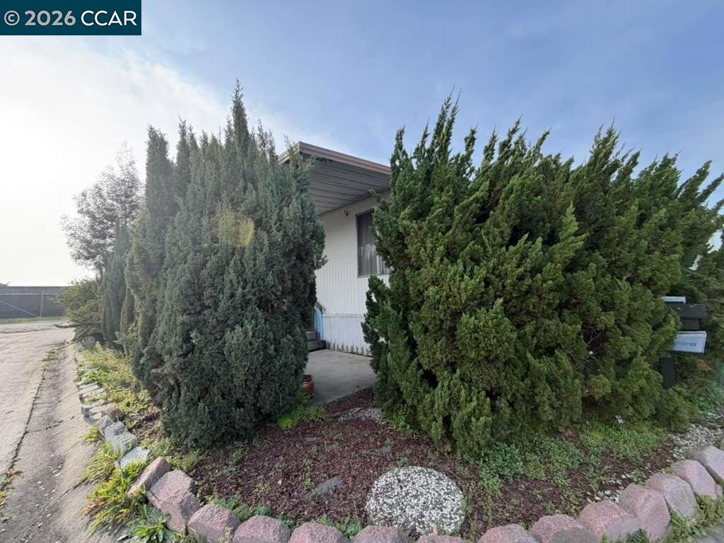 28227 Murcia St Property Photo 3