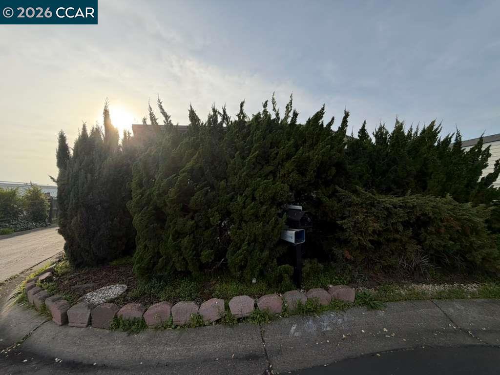 28227 Murcia St Property Photo 4