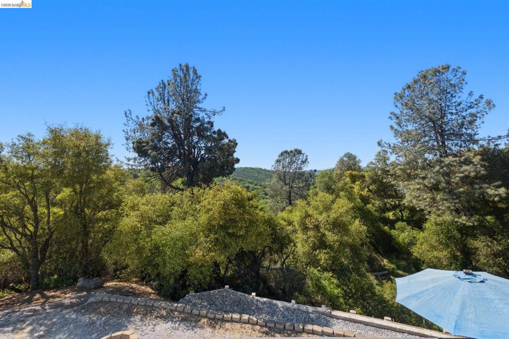 21472 Longeway Rd Property Photo 39