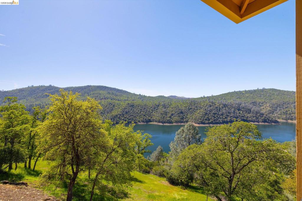 12808 Mammoth Mine Road Property Photo 38