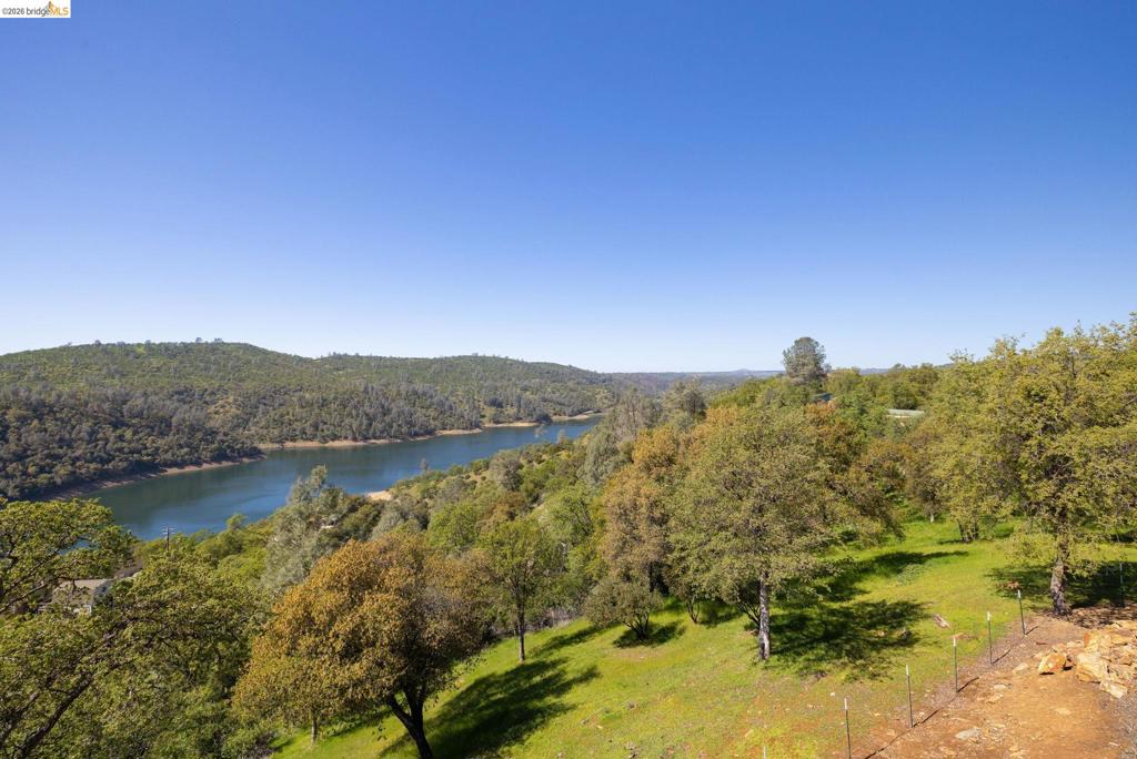 12808 Mammoth Mine Road Property Photo 39