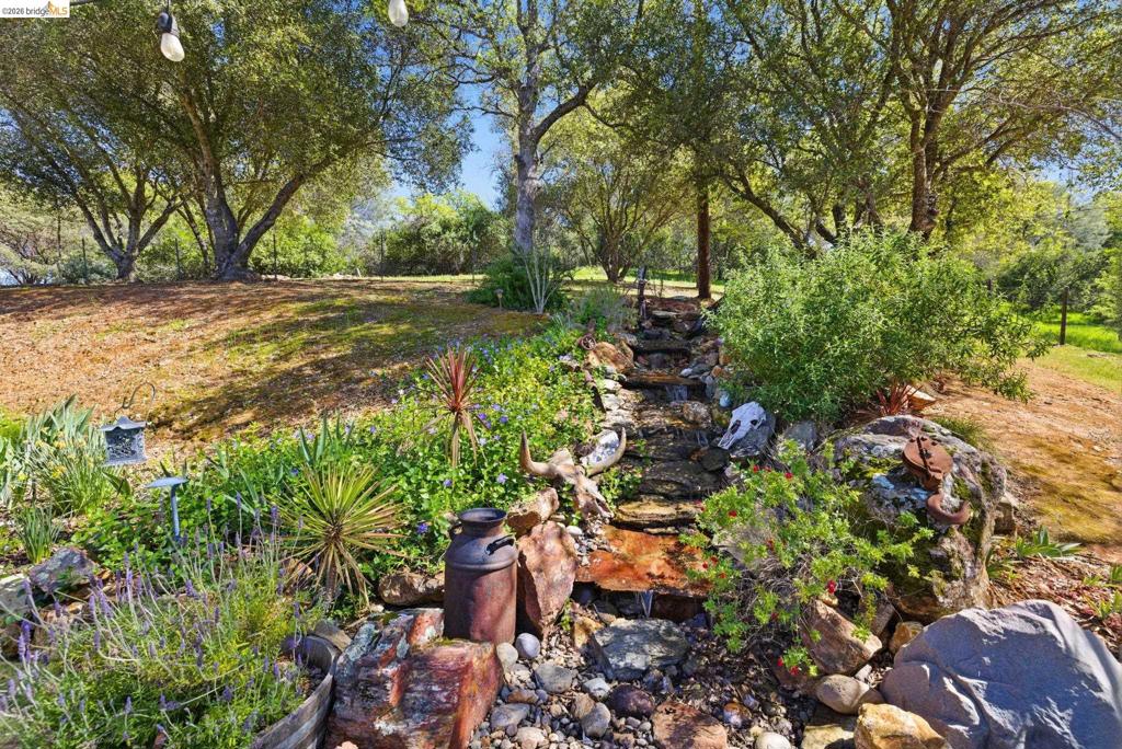 12808 Mammoth Mine Road Property Photo 46