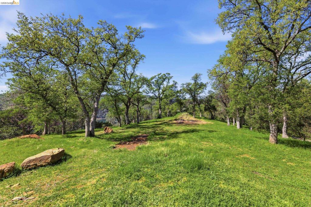 12808 Mammoth Mine Road Property Photo 50