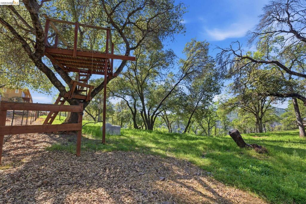 12808 Mammoth Mine Road Property Photo 51