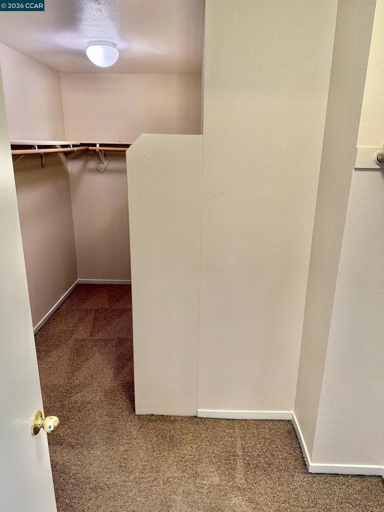 5104 Trailridge Ct Property Photo 20