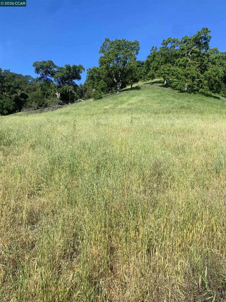 Toyon Road Property Photo 1