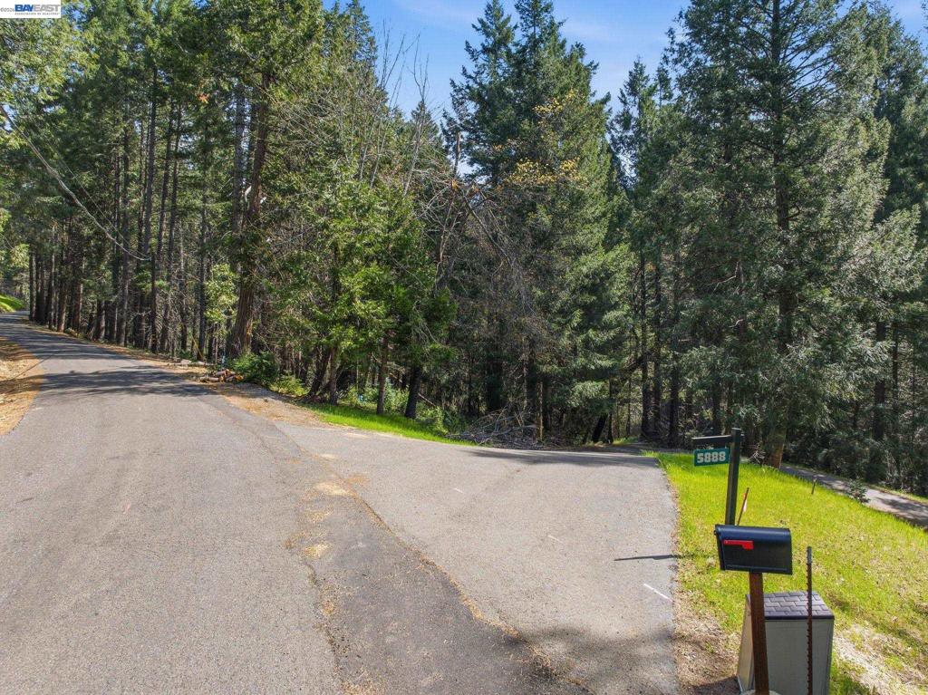 5890 Starkes Grade Rd Property Photo 6