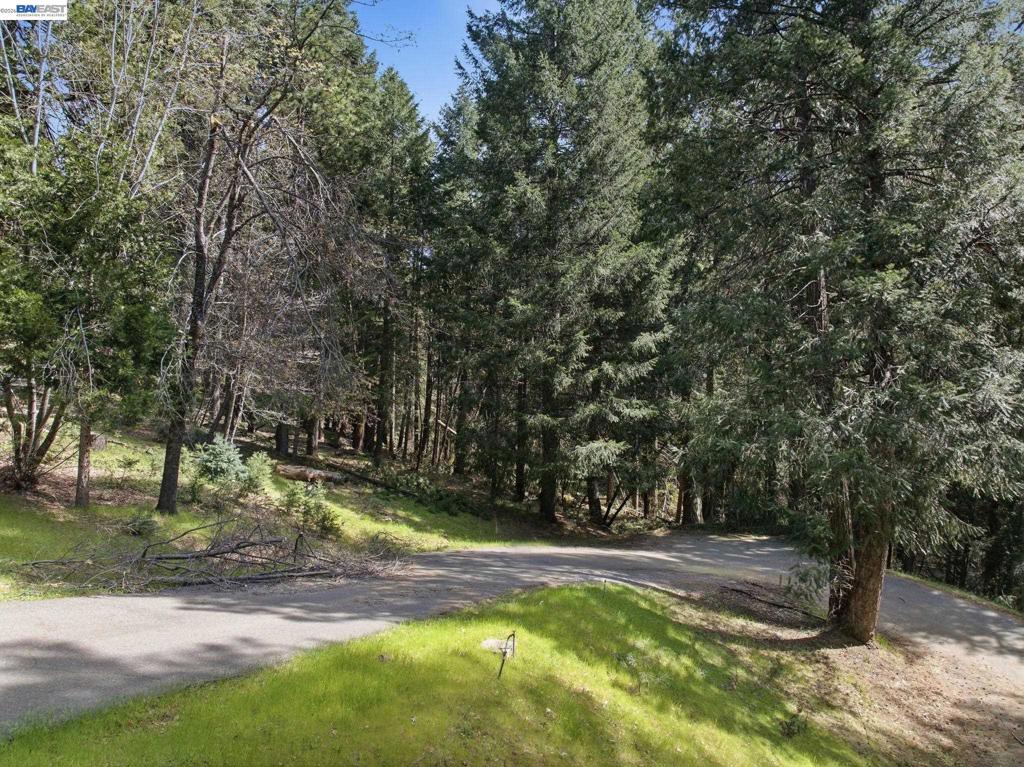 5890 Starkes Grade Rd Property Photo 7