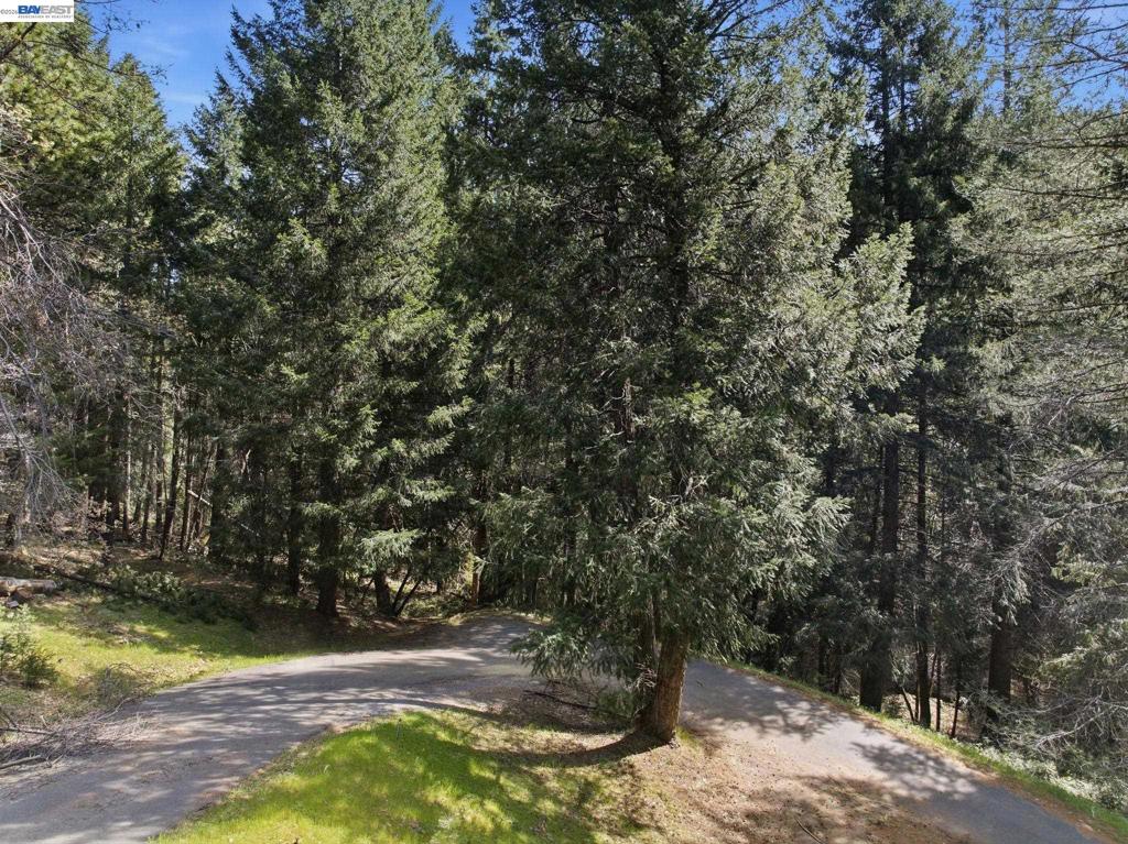 5890 Starkes Grade Rd Property Photo 8