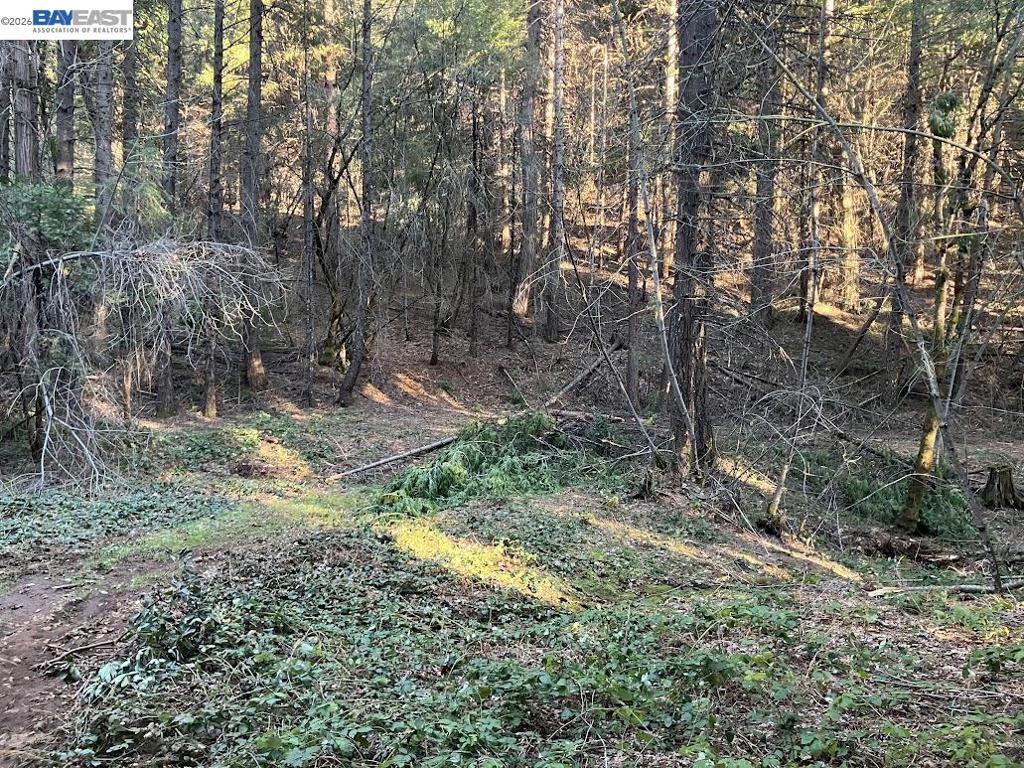 5890 Starkes Grade Rd Property Photo 9