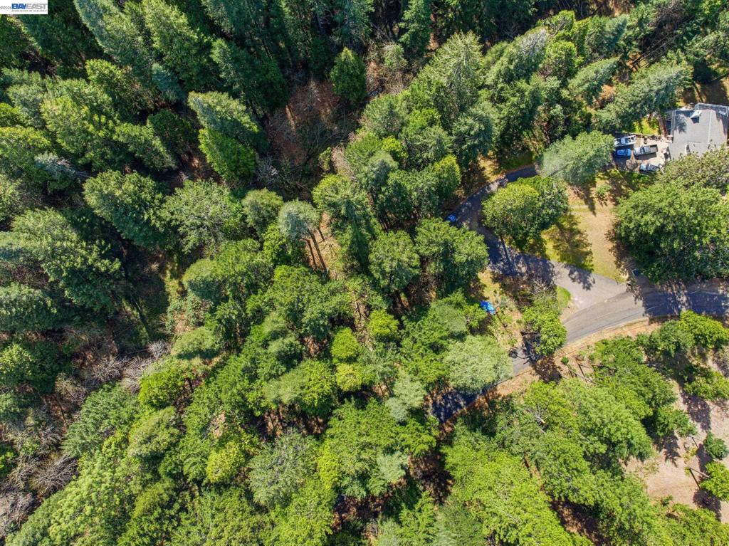 5890 Starkes Grade Rd Property Photo 11
