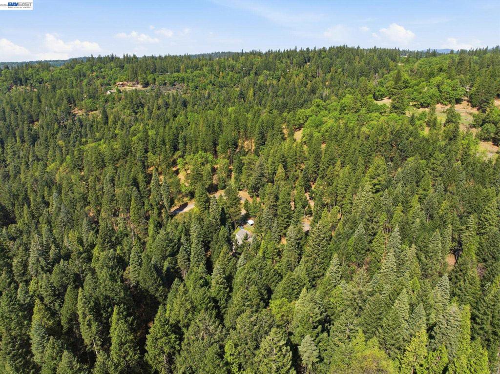 5890 Starkes Grade Rd Property Photo 15