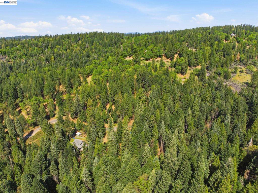 5890 Starkes Grade Rd Property Photo 18