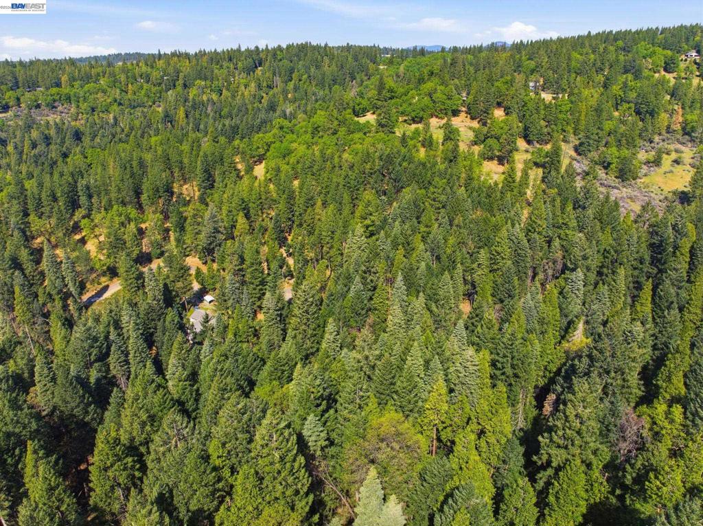 5890 Starkes Grade Rd Property Photo 19