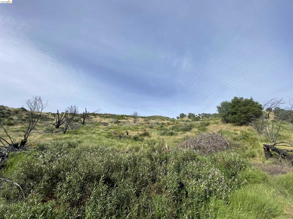 12372 Terrace Drive Property Photo 1