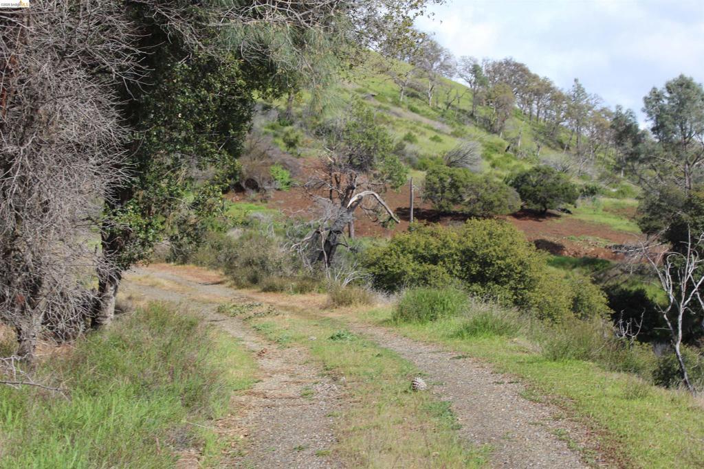 12372 Terrace Drive Property Photo 3