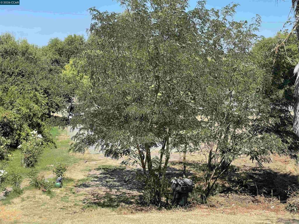 1766 Taylor Rd Property Photo 16