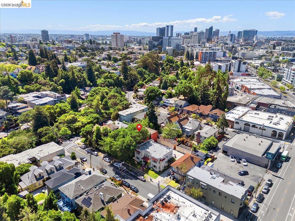 31 Croxton Ave Property Photo 41