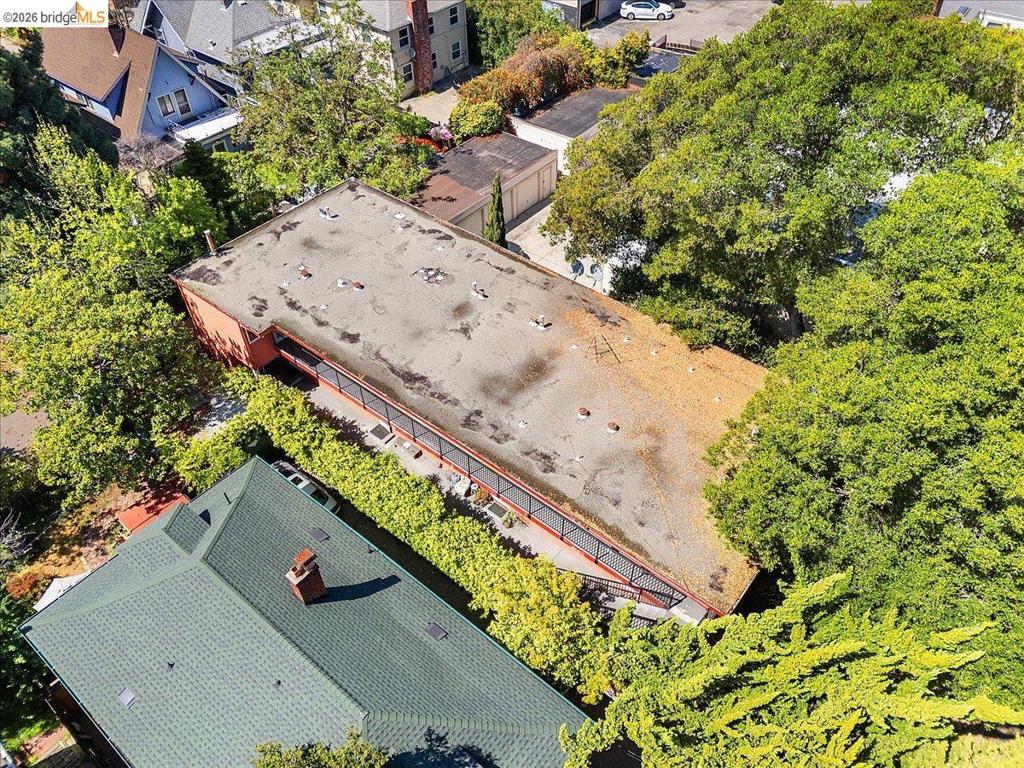 31 Croxton Ave Property Photo 48