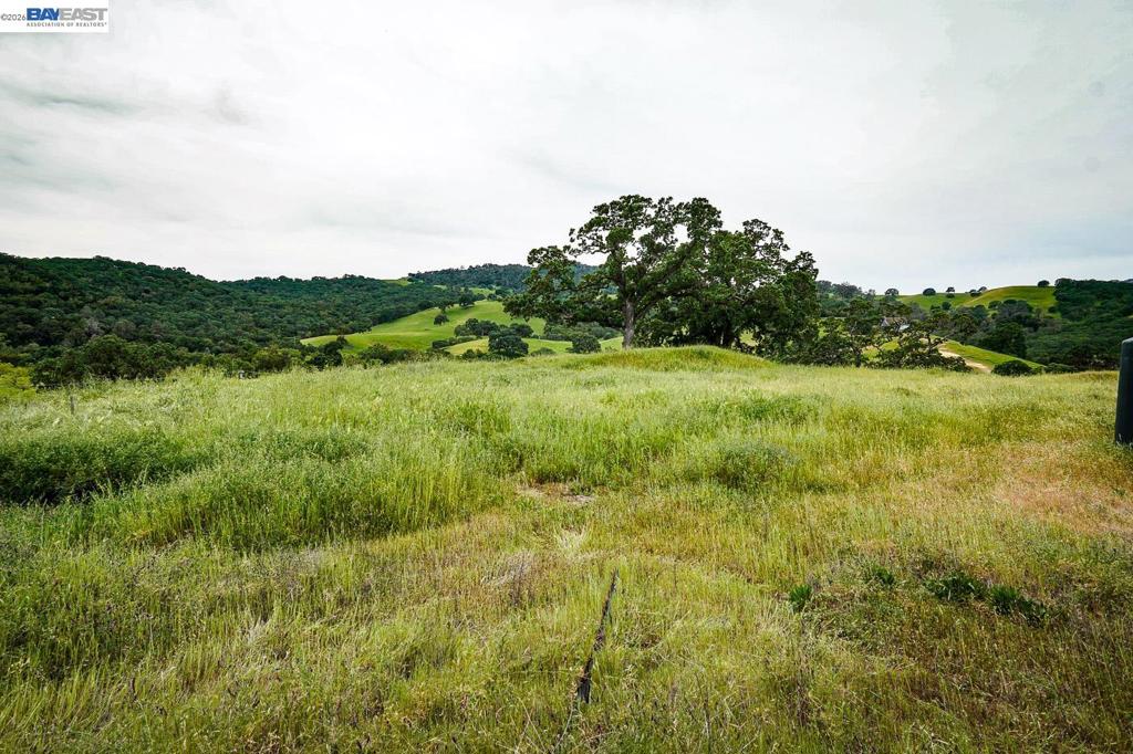 6115 Morgan Territory Rd Property Photo 38