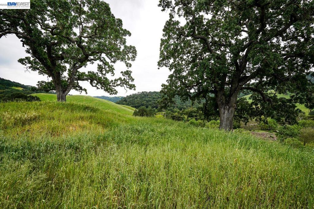 6115 Morgan Territory Rd Property Photo 39