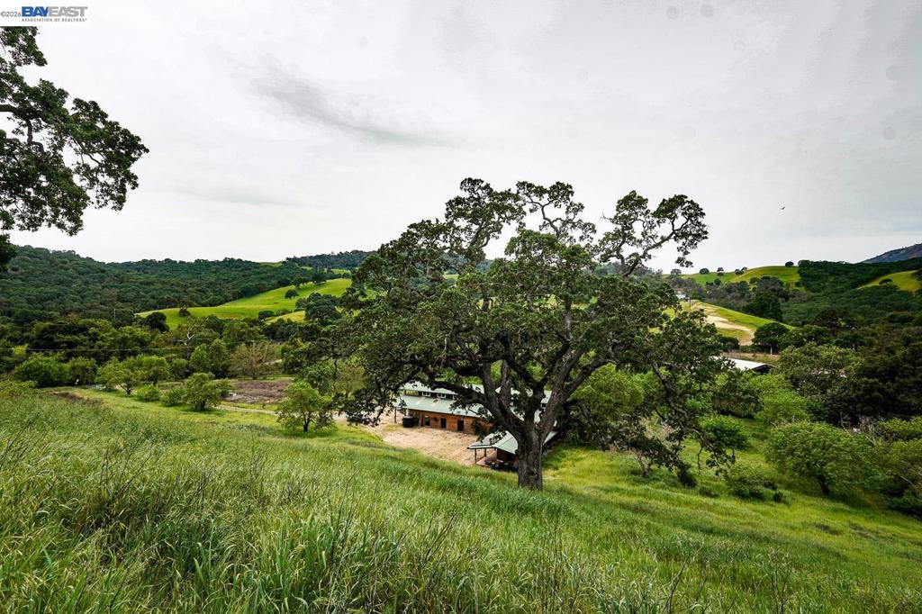 6115 Morgan Territory Rd Property Photo 42