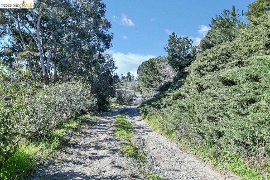 4058 Treat Boulevard Property Photo 18