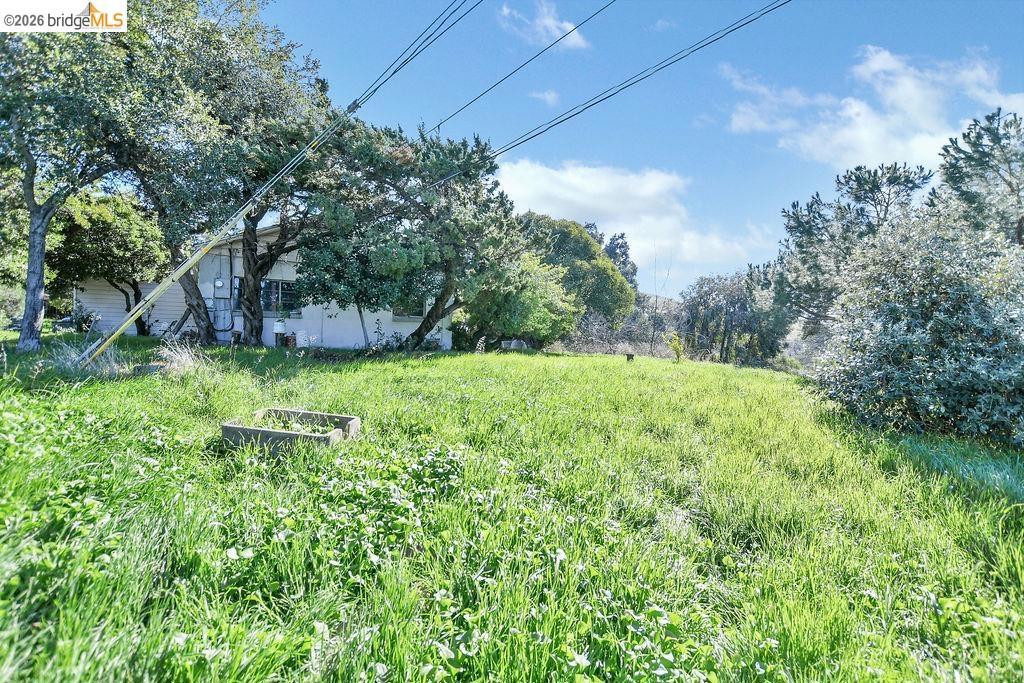 4058 Treat Boulevard Property Photo 22