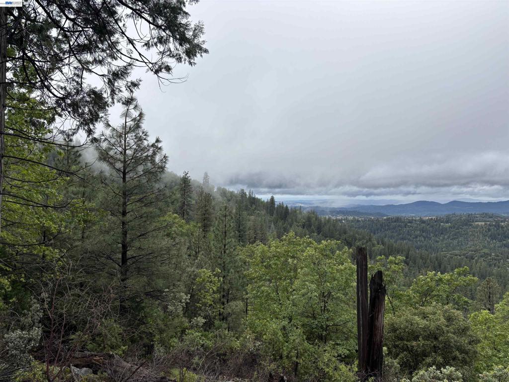 20800 Mount Provo Road Property Photo 2