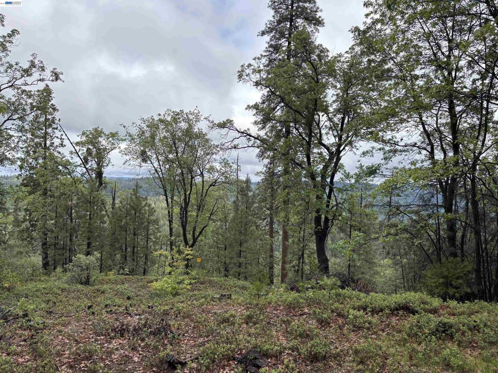 20800 Mount Provo Road Property Photo 4